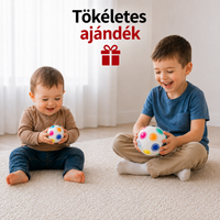 SmartLogicBall DUO Csomag